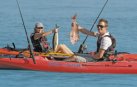 Auckland Highlights Tours